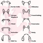 Personalised Dog Outline Embroidered Sweatshirt with Name